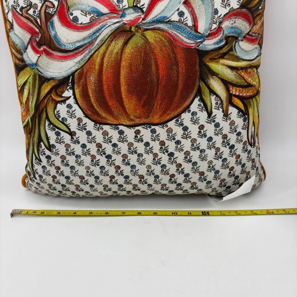 John Derian for Target Pumpkin Harvest Decorative Pillow Rust Velvet Back 16x16
